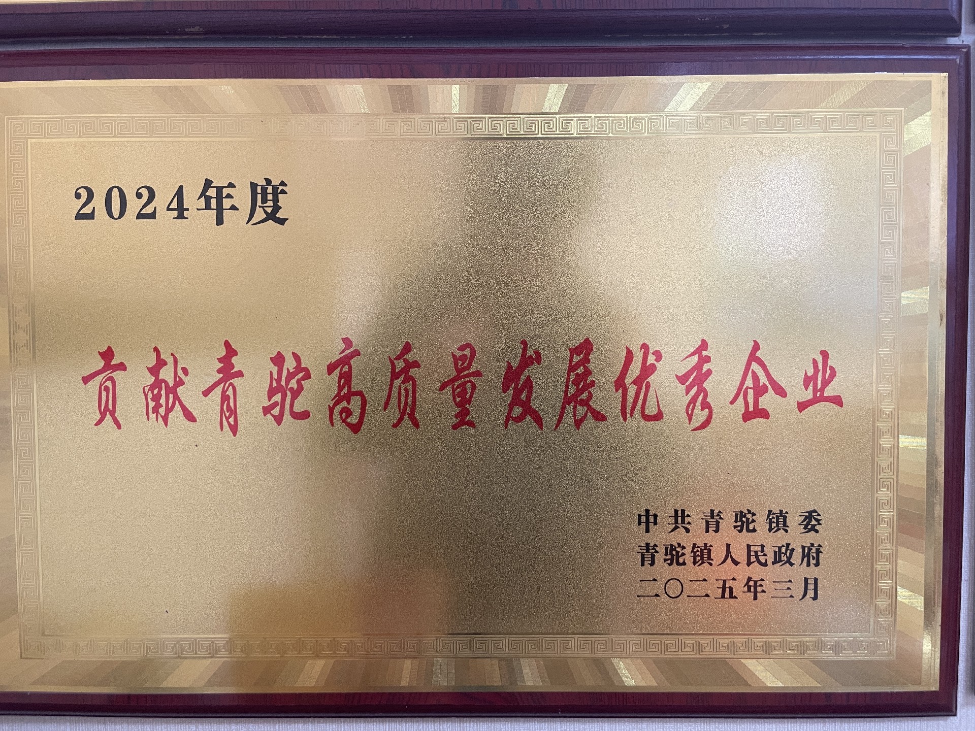 2024年貢獻(xiàn)青駝高質(zhì)量發(fā)展優(yōu)秀企業(yè).jpg